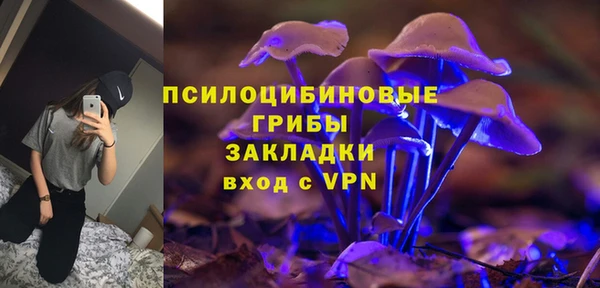 соль ск Россошь