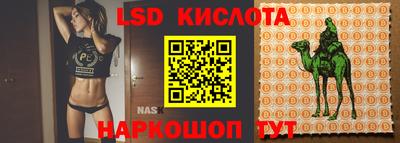 PSILOCYBIN Азнакаево