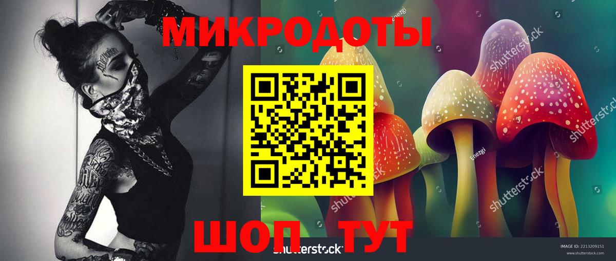 Псилоцибиновые грибы Psilocybe  Абинск  Галлюциногенные грибы мухоморы 